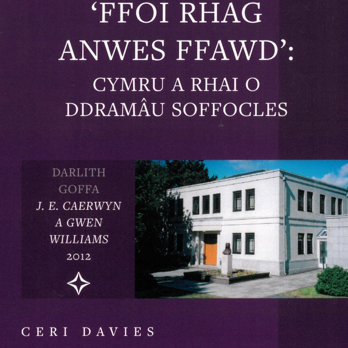 Front cover of Ffoi rhag anwes ffawd. 